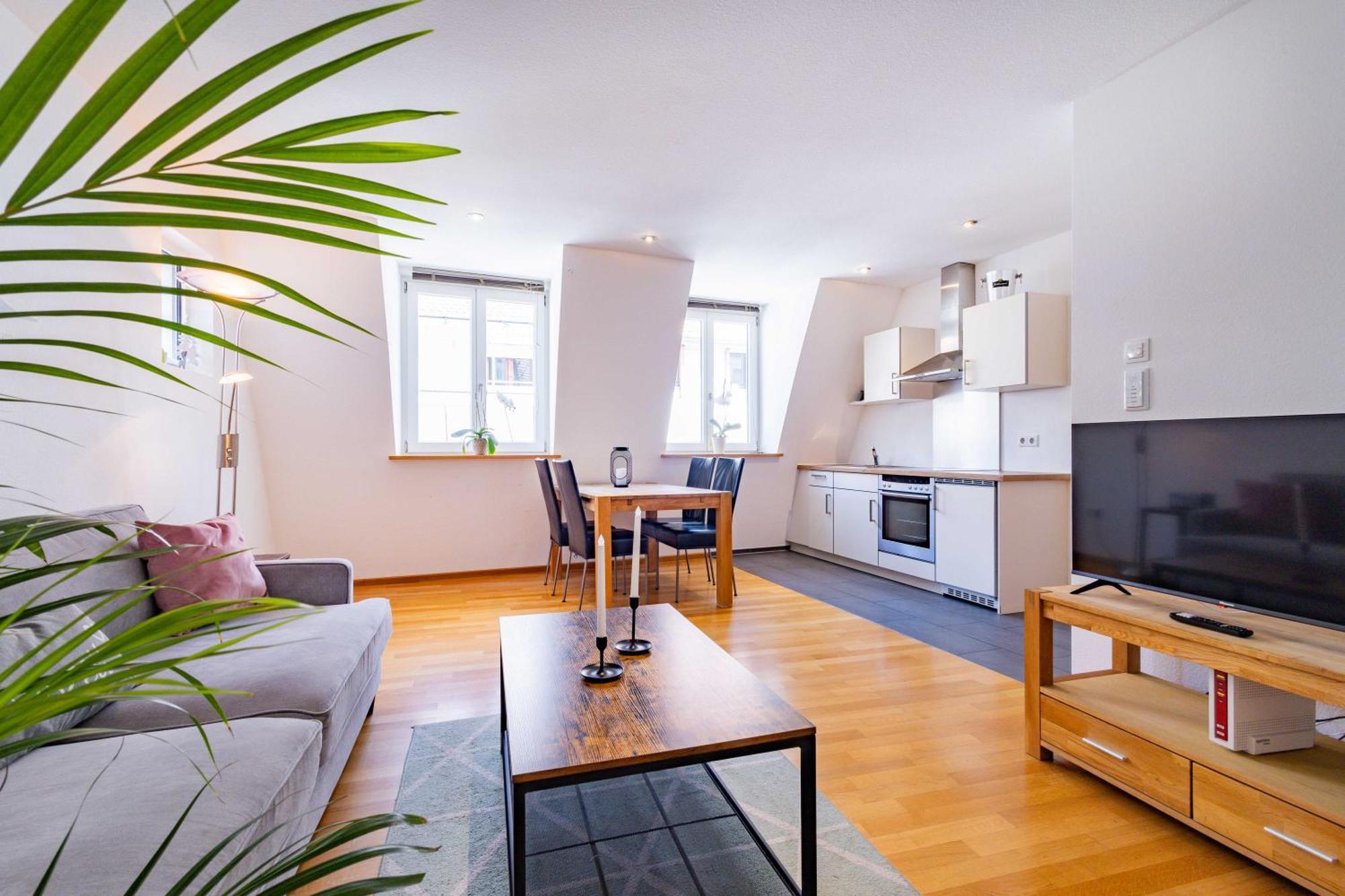Apartment Altstadtsuite Center Freiburg im Breisgau